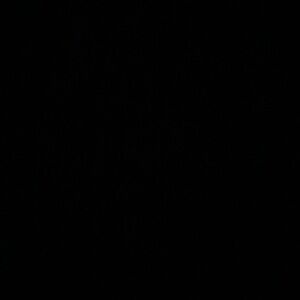 Meet your Posher, Cici